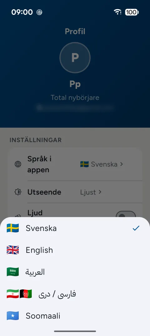 Språkvalet i SFI Prov med svenska, engelska, arabiska, persiska/dari och somaliska
